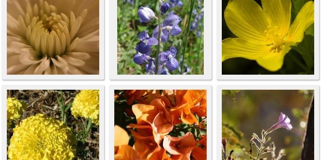 As Melhores Imagens Da Internet Whatatop Com