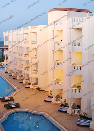 Image Caption